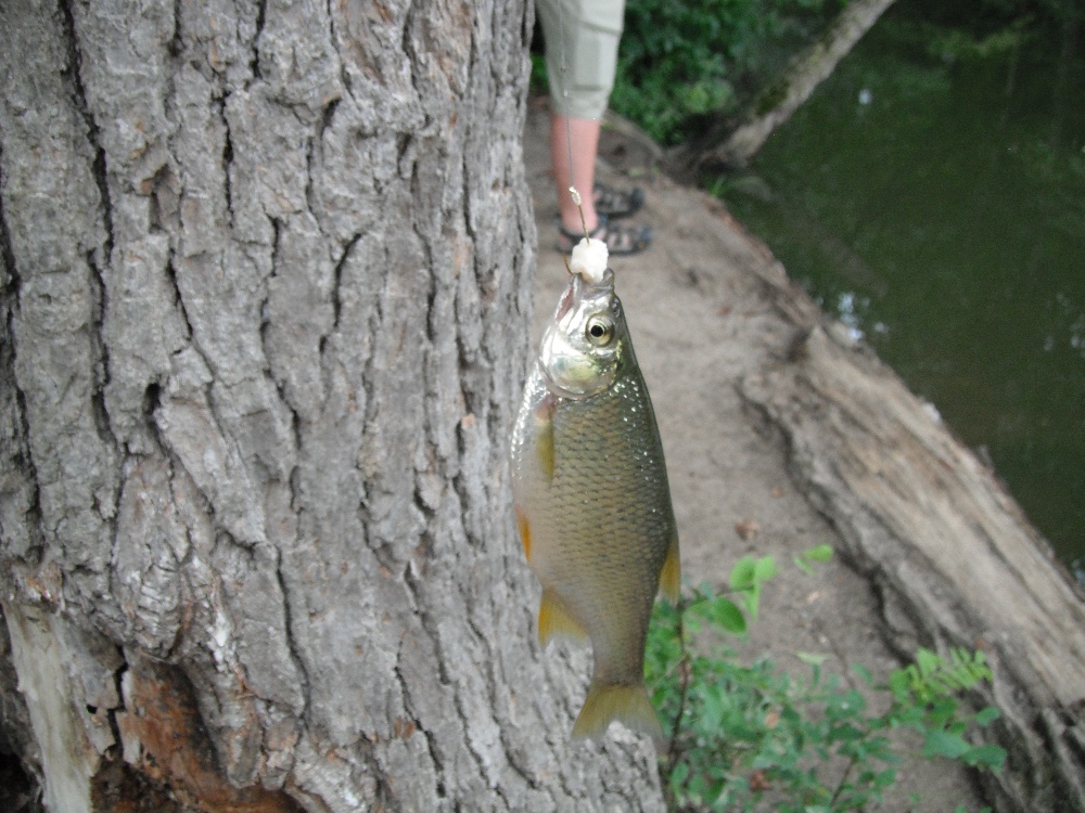 Hopkins Pond