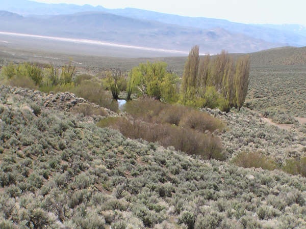 Lower Willow Pond 5 near Battle Mountain