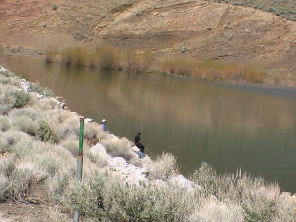 Upper Willow Pond 1 near Battle Mountain