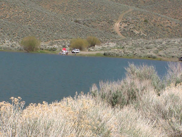 Upper Willow Pond 2 near Battle Mountain