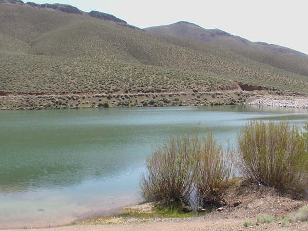 Upper Willow Pond 3 near Battle Mountain